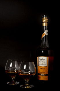 蘋(píng)果白蘭地 節(jié)日酒吧中的精致酒精飲料